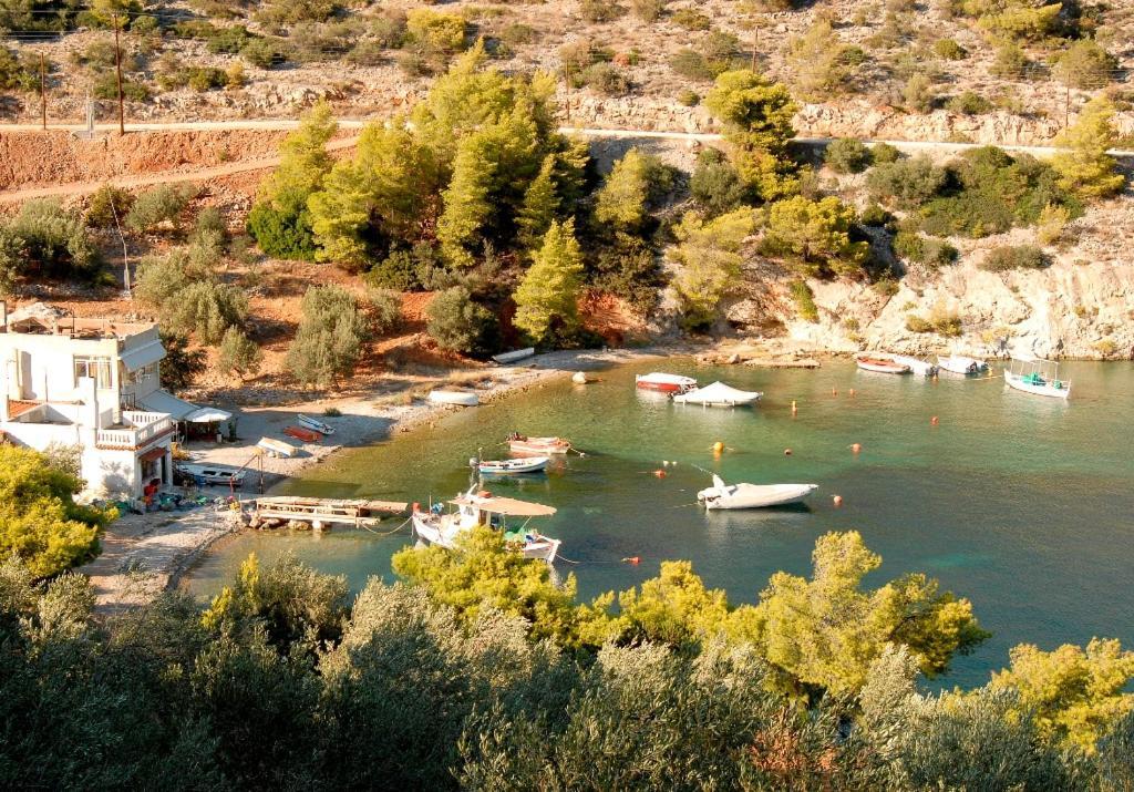 Soligia Blue Villa